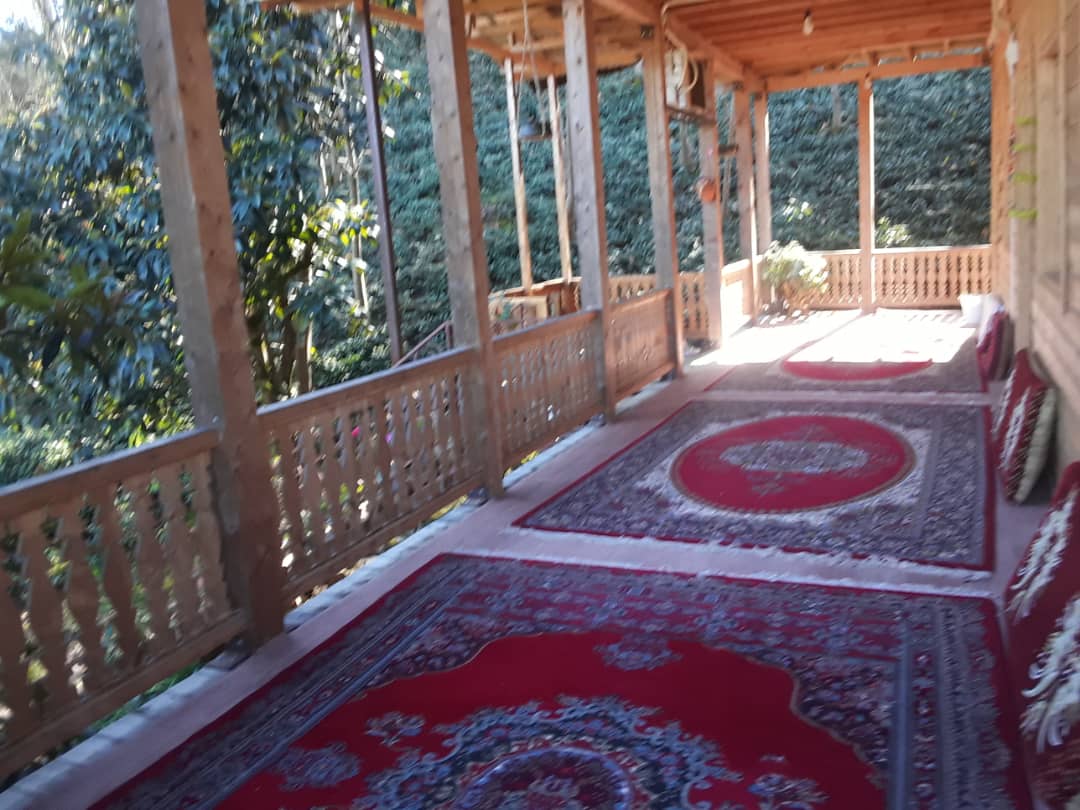 گالری تصاویر